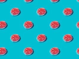 How Sugar Affects the Brain, According to a Neuroscience Expert