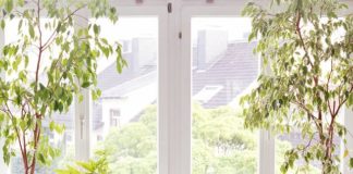 The 16 Best Bathroom Plants for a More Spa-Like Experience