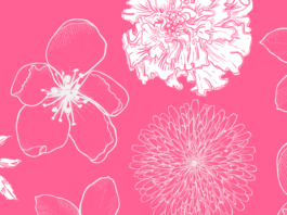 The Best Easy-to-Grow Flowers for a Gorgeous Garden