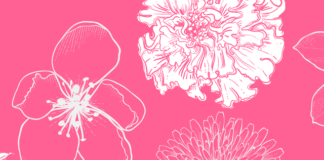 The Best Easy-to-Grow Flowers for a Gorgeous Garden