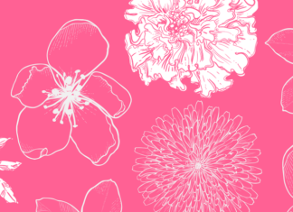 The Best Easy-to-Grow Flowers for a Gorgeous Garden