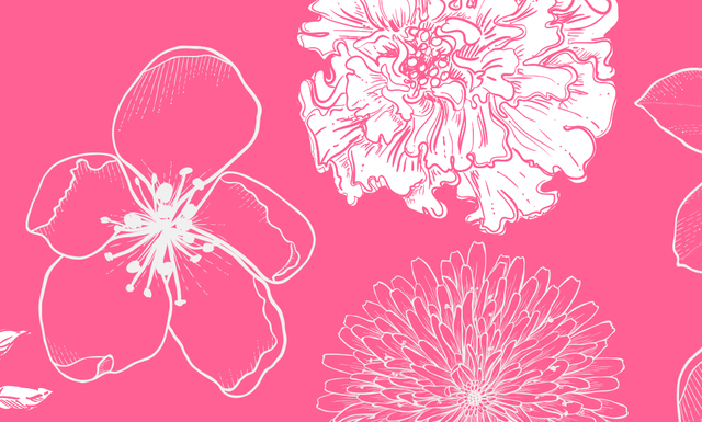 The Best Easy-to-Grow Flowers for a Gorgeous Garden