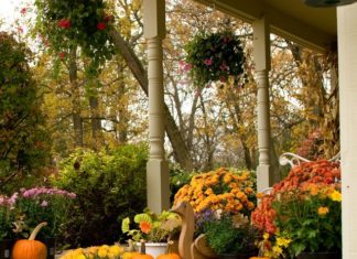 20 Creative Porch Decor Ideas to Celebrate the Fall Season