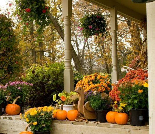 20 Creative Porch Decor Ideas to Celebrate the Fall Season