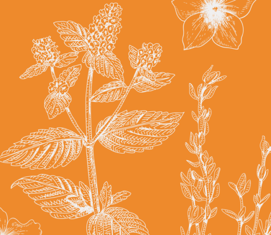 20 of the Best Perennial Flowers and Plants That’ll Bloom Year After Year