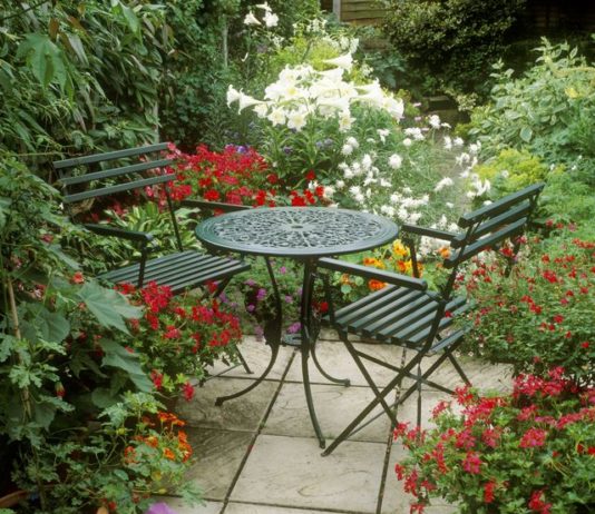 The 20 Best Patio Plants to Dress Up Your Space