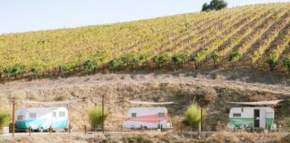 This Resort In Costa Rica Has A Sloth Reserve, Daily Yoga, And A Full-Service Spa