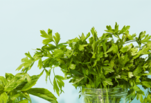 How to Store Fresh Herbs