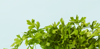 How to Store Fresh Herbs
