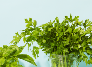 How to Store Fresh Herbs