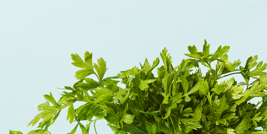 How to Store Fresh Herbs