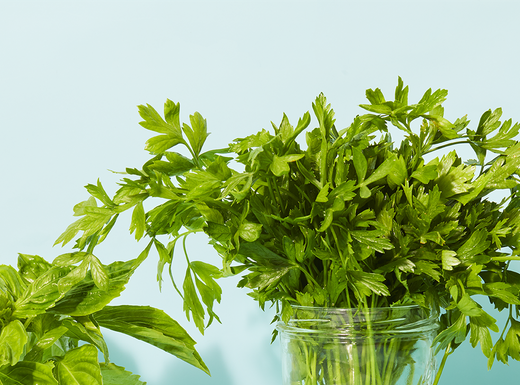 How to Store Fresh Herbs