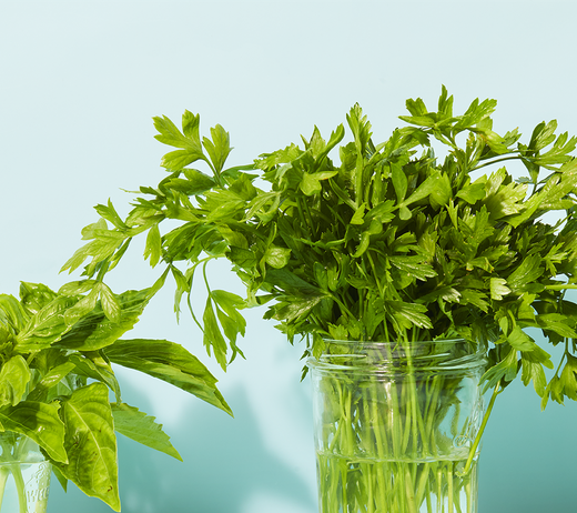 How to Store Fresh Herbs