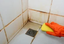 Best Practices for Deep Cleaning Bathroom Tiles and Preventing Mold Growth