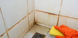 Best Practices for Deep Cleaning Bathroom Tiles and Preventing Mold Growth