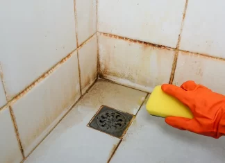 Best Practices for Deep Cleaning Bathroom Tiles and Preventing Mold Growth