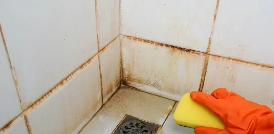 Best Practices for Deep Cleaning Bathroom Tiles and Preventing Mold Growth