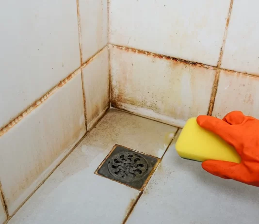 Best Practices for Deep Cleaning Bathroom Tiles and Preventing Mold Growth