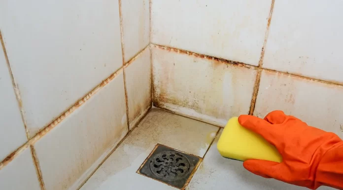Best Practices for Deep Cleaning Bathroom Tiles and Preventing Mold Growth