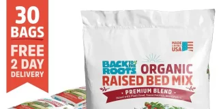 Best Organic Fertilizers for Improving Soil Health in Raised Vegetable Beds