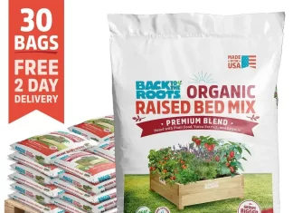 Best Organic Fertilizers for Improving Soil Health in Raised Vegetable Beds