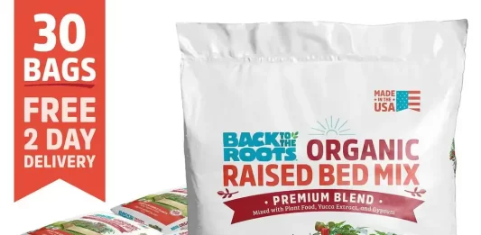 Best Organic Fertilizers for Improving Soil Health in Raised Vegetable Beds