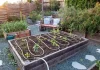 Creative DIY Irrigation Solutions to Save Water in Backyard Gardens