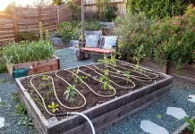 Creative DIY Irrigation Solutions to Save Water in Backyard Gardens