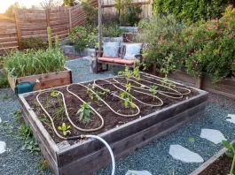 Creative DIY Irrigation Solutions to Save Water in Backyard Gardens