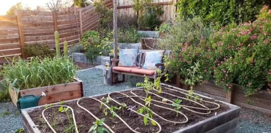 Creative DIY Irrigation Solutions to Save Water in Backyard Gardens