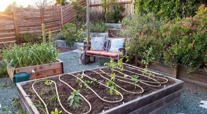 Creative DIY Irrigation Solutions to Save Water in Backyard Gardens