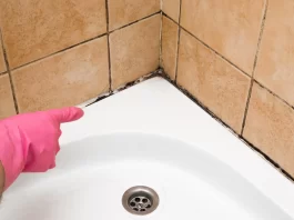 Step-by-Step Guide to Deep Cleaning Bathroom Grout and Preventing Mold