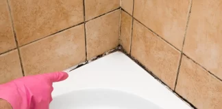 Step-by-Step Guide to Deep Cleaning Bathroom Grout and Preventing Mold