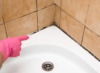 Step-by-Step Guide to Deep Cleaning Bathroom Grout and Preventing Mold