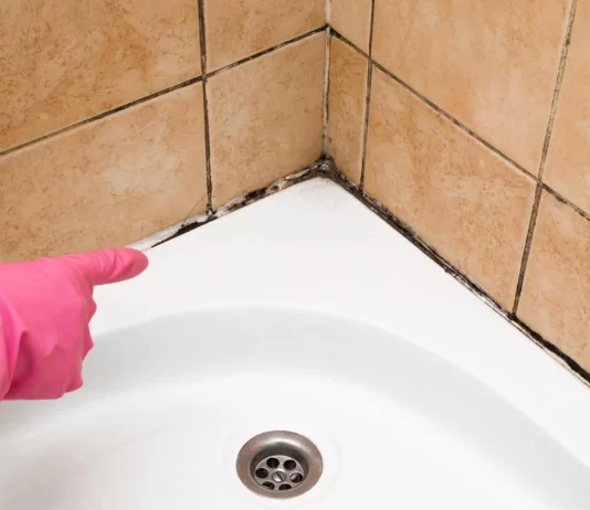 Step-by-Step Guide to Deep Cleaning Bathroom Grout and Preventing Mold