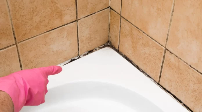 Step-by-Step Guide to Deep Cleaning Bathroom Grout and Preventing Mold