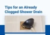 Step-by-Step Guide to Deep Cleaning a Shower Drain to Prevent Clogs