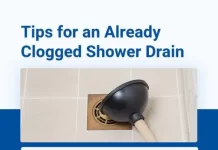 Step-by-Step Guide to Deep Cleaning a Shower Drain to Prevent Clogs