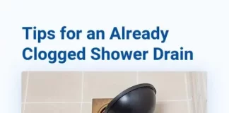 Step-by-Step Guide to Deep Cleaning a Shower Drain to Prevent Clogs