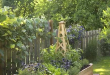 Step-by-Step Guide to Building a Raised Garden Bed for Small Backyards