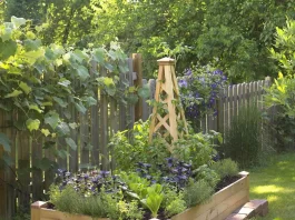 Step-by-Step Guide to Building a Raised Garden Bed for Small Backyards