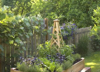 Step-by-Step Guide to Building a Raised Garden Bed for Small Backyards