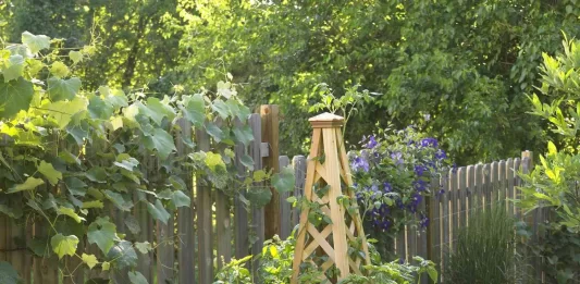 Step-by-Step Guide to Building a Raised Garden Bed for Small Backyards