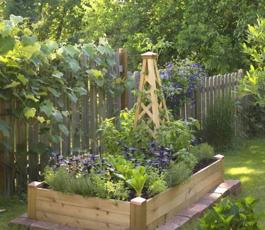 Step-by-Step Guide to Building a Raised Garden Bed for Small Backyards