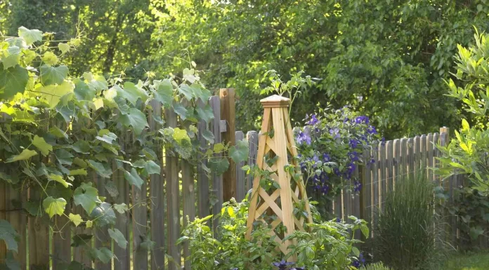 Step-by-Step Guide to Building a Raised Garden Bed for Small Backyards