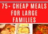 Quick and Nutritious Family Dinner Recipes for Large Households