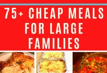 Quick and Nutritious Family Dinner Recipes for Large Households