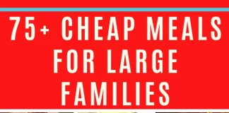 Quick and Nutritious Family Dinner Recipes for Large Households