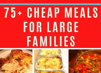 Quick and Nutritious Family Dinner Recipes for Large Households