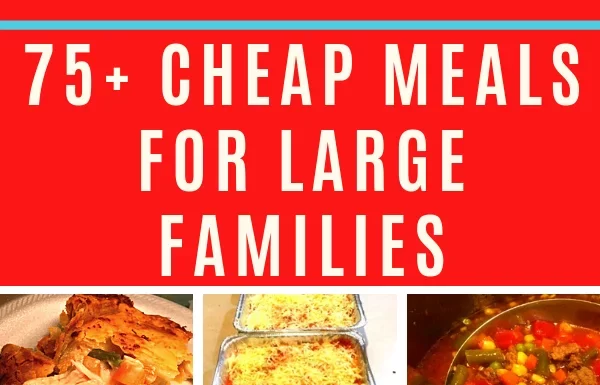 Quick and Nutritious Family Dinner Recipes for Large Households